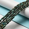 Natural African Turquoise(Jasper) Beads Strands G-D081-A05-5
