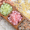 6 Colors Handmade Lampwork Beads LAMP-AN0001-01-6