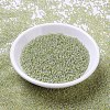 MIYUKI Round Rocailles Beads SEED-JP0008-RR0359-2