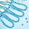 4 Strands Handmade Lampwork Beads Strands LAMP-HS0001-09-4