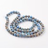 Natural Imperial Jasper Beads Strands G-I122-10mm-13-2