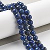 Natural Lapis Lazuli Beads Strands G-P348-01-8mm-2
