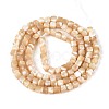 Natural Trochid Shell/Trochus Shell Beads Strands BSHE-T014-52B-01-2