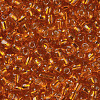 6/0 Glass Seed Beads SEED-A005-4mm-29-2