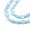 Natural Freshwater Shell Beads Strands SHEL-N003-25-B02-3
