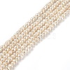 Natural Cultured Freshwater Pearl Beads Strands PEAR-L033-01-1