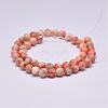 Natural Red Netstone Beads Strands G-F352-10mm-2