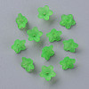 Transparent Acrylic Beads X-PL554-13-4