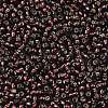 TOHO 8/0 Round Beads SEED-XTR08-0026C-2