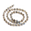 Natural Labradorite Beads Strands G-P463-35-3
