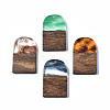 Transparent Resin & Walnut Wood Pendants RESI-T035-32-1