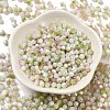 Baking Painted Glass Seed Beads SEED-C004-03B-2