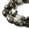 Natural Wealth Stone Jasper Beads Strands G-L242-32-4