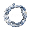 Natural Kyanite Beads Strands G-H335-D01-8x15mm-3
