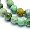 Natural Variscite Beads Strands G-G823-02-8mm-3