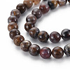 Natural Pietersite Beads Strands G-R446-8mm-13-3