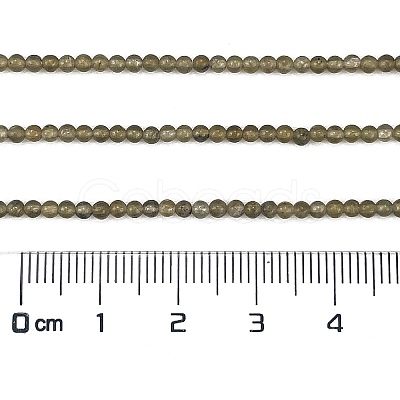 Natural Labradorite Beads Strands G-M438-A01-02-1