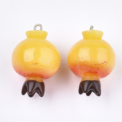 Resin Pendants X-RESI-T028-49-1