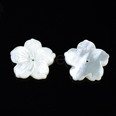 Natural White Shell Mother of Pearl Shell Beads SSHEL-T014-42D-1