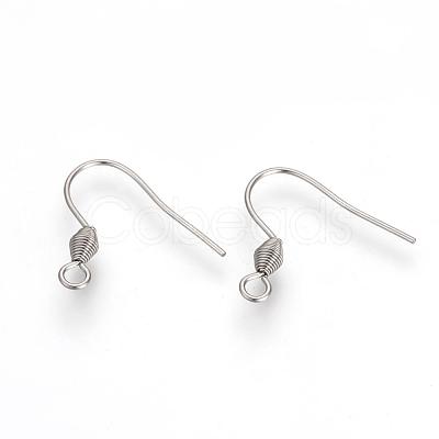 Tarnish Resistant 304 Stainless Steel Earring Hooks X-STAS-R071-30-1