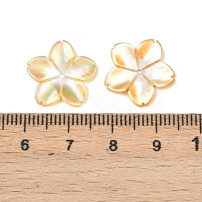 Natural Yellow Shell Carved Beads SSHEL-B006-07-1