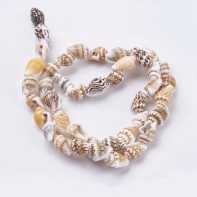 Natural Sea Shell Beads Strands X-BSHE-K012-07-1