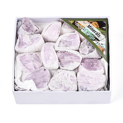Natural Kunzite Display Decorations G-N347-11A-1