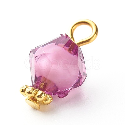 Transparent Acrylic Charms PALLOY-JF00877-1