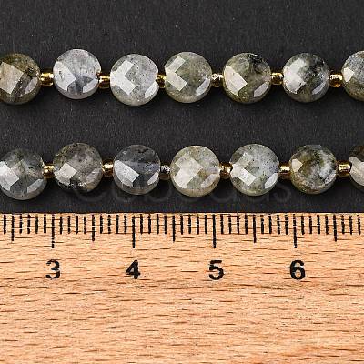 Natural Labradorite Beads Strands G-K389-B66-01-1