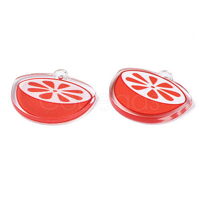 Translucent Acrylic Pendants TACR-N013-006-1