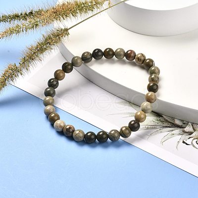 Natural Silver Leaf Jasper Round Beads Stretch Bracelet for Men Women BJEW-JB06824-01-1