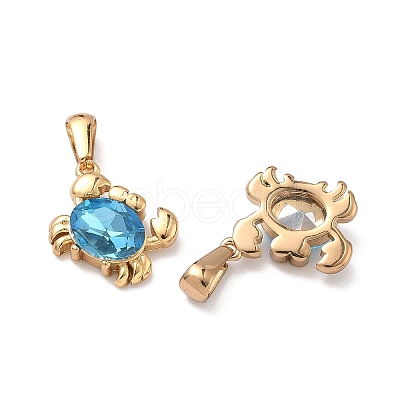304 Stainless Steel & Glass Pendants STAS-L309-20A-G-1