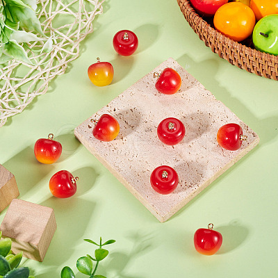 10Pcs Plastic Pendants KY-TADJ0001-01B-1