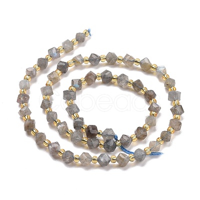 Natural Labradorite Beads Strands G-P463-35-1