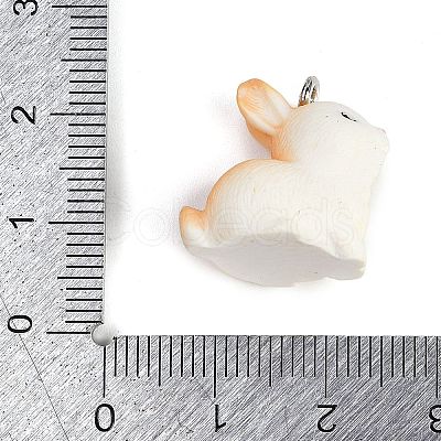 Cute Opaque Resin Pendants RESI-R458-05F-1