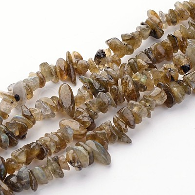 Natural Labradorite Chips Beads Strands LS-F069-1