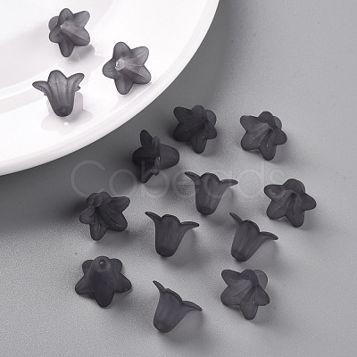 Transparent Acrylic Beads PLF018-17-1
