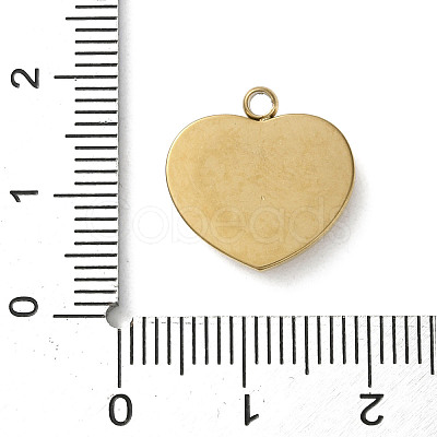 304 Stainless Steel Acrylic Pendants STAS-M091-02B-G-1