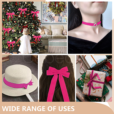 Velvet Ribbon SRIB--WH0030-01B-1