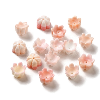 Seashell Beads SSHEL-H071-07B-1