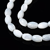 Natural Trochid Shell/Trochus Shell Beads Strands SSHEL-S266-021A-01-3