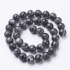 Natural Larvikite Beads Strands GSR10mmC128-3