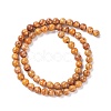 Natural Maifanite/Maifan Stone Beads Strands G-P451-01B-C-3