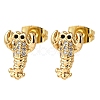Brass Micro Pave Clear Cubic Zirconia Earrings EJEW-D328-03G-04-4