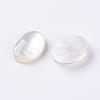 Shell Cabochons G-L470-15-2