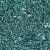 FGB 11/0 Grade A Glass Seed Beads SEED-S030-1216-2