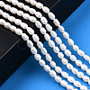 Natural Cultured Freshwater Pearl Beads Strands PEAR-N012-03E-2