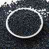 MIYUKI Round Rocailles Beads SEED-X0055-RR0455-2