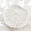 Baking Paint Glass Seed Beads SEED-A032-02D-2