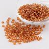 6/0 Round Silver Lined Round Hole Glass Seed Beads X-SEED-A005-4mm-22C-1
